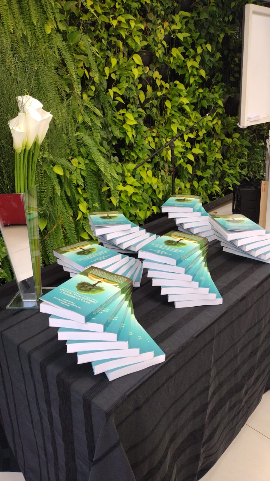 Professores do Trilhas de Futuro – Educadores lançam livro sobre educação ambiental em Minas Gerais