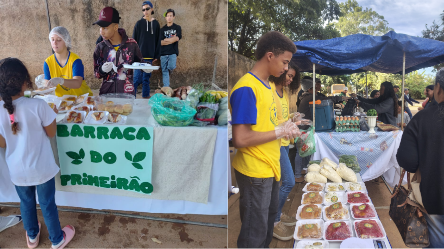 Escola Estadual Elisa de Oliveira Campos transforma agricultura familiar em aprendizado sobre empreendedorismo e educação fiscal